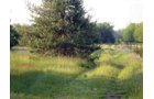 Property photo 4 - 10 Acre Building Site Real Estate Auction